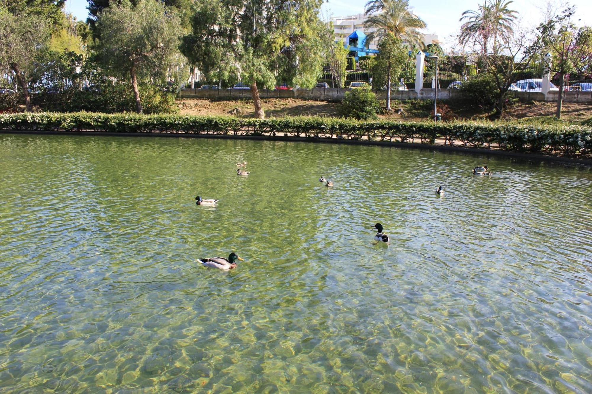 Apartment Aguila 110 Benalmadena